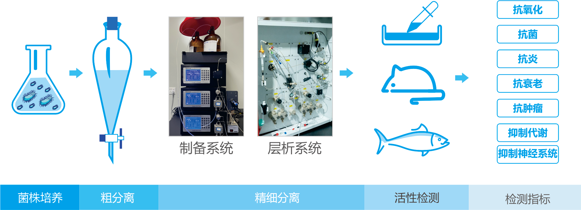 图片 5.png
