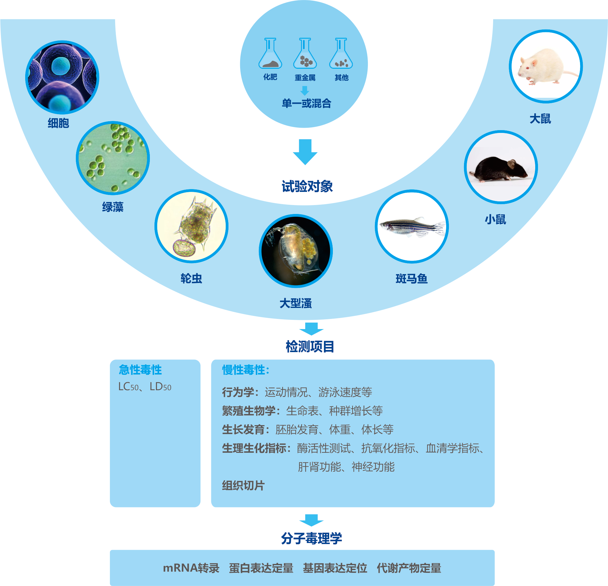 图片 17.png