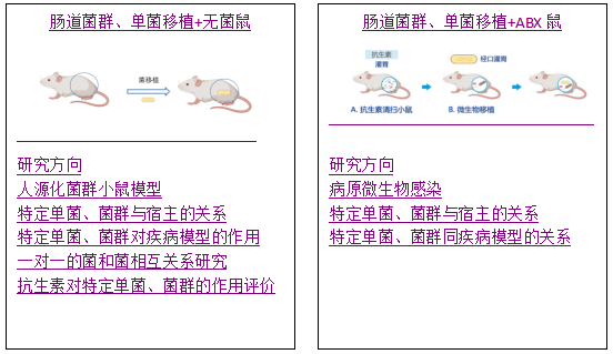 粪菌1.png