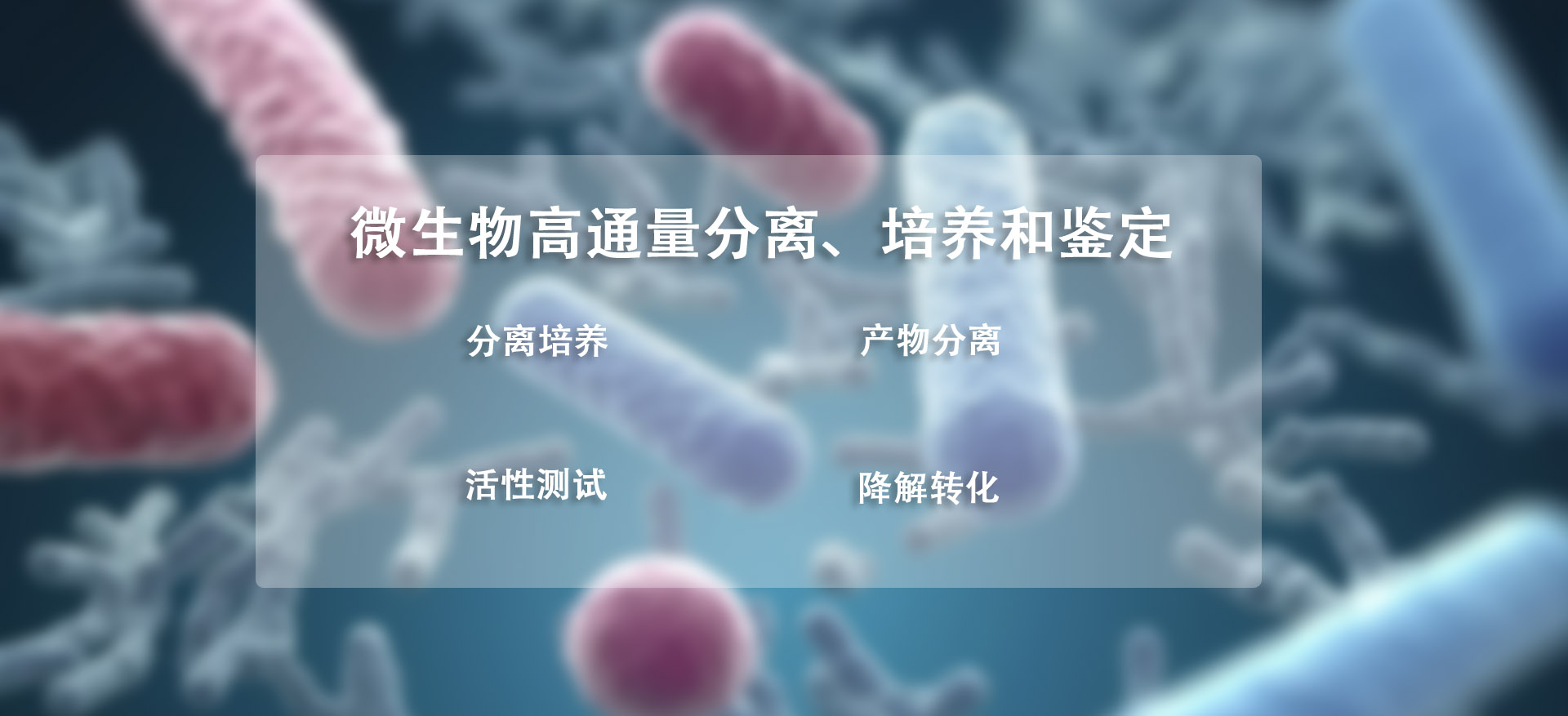 电脑通栏图片