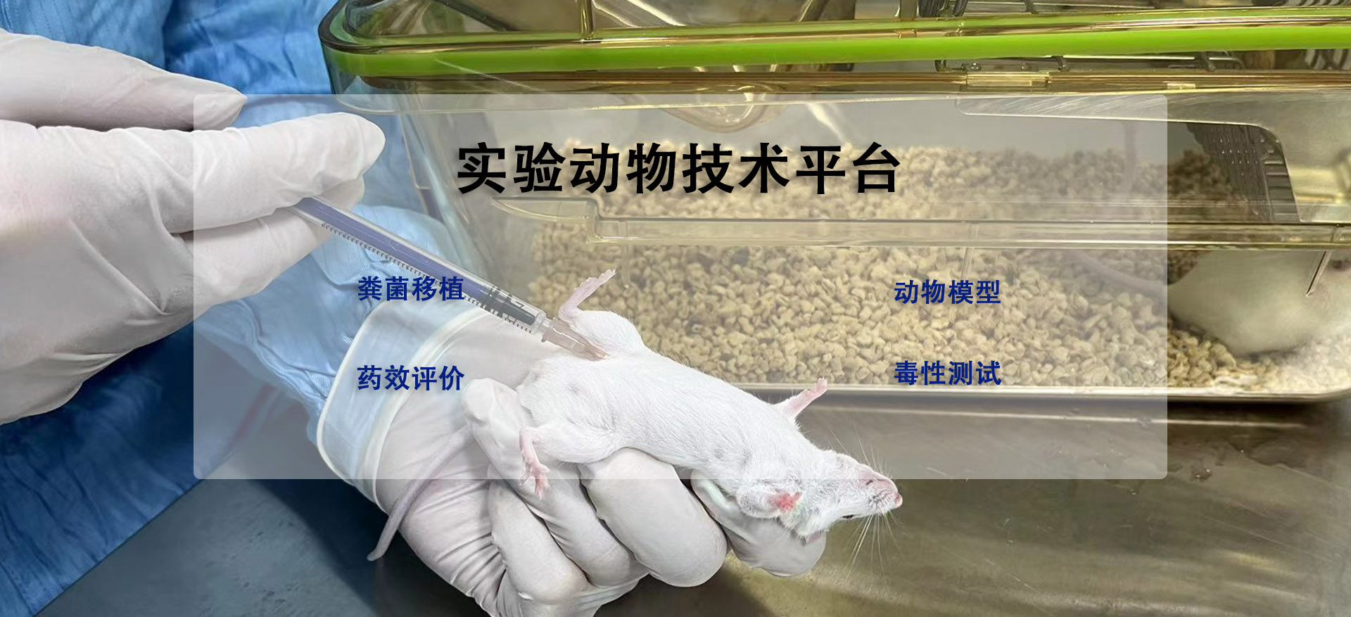 通栏图片01背景